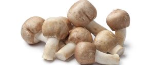 Mandulagomba | Immunerősítő és rákellenes hatás