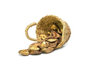 A shiitake gomba gyógyhatásai: mire képes a lentinán?